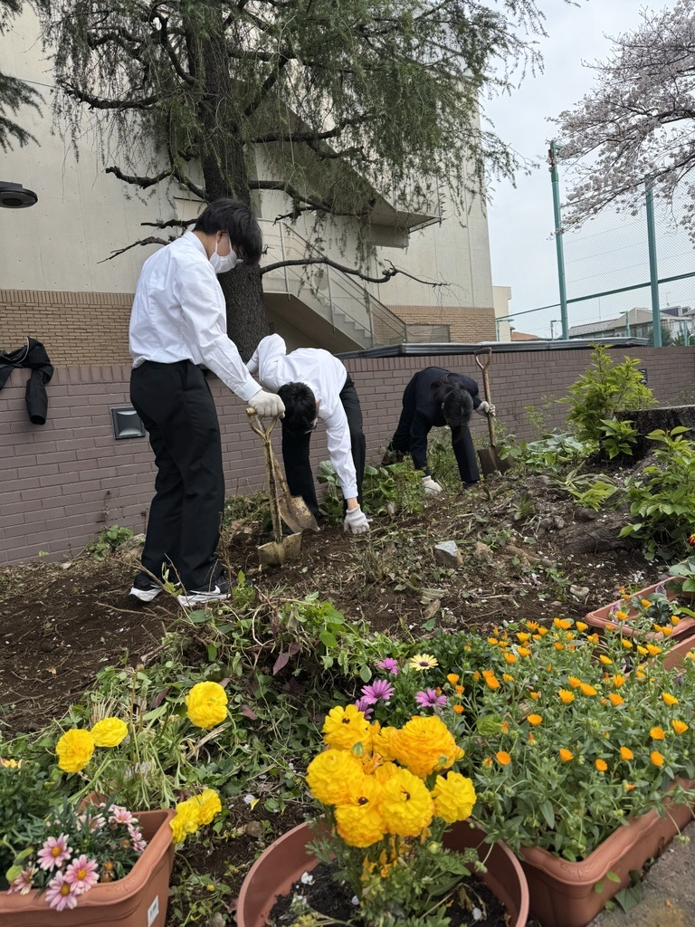 Image - 2026-04-08T195652.030